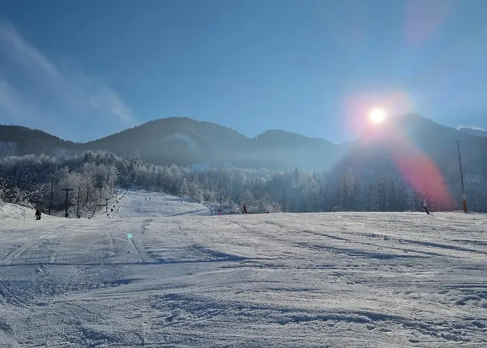 Nad Tunelom Apartment Bohinj